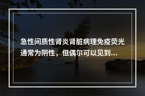 急性间质性肾炎肾脏病理免疫荧光通常为阴性，但偶尔可以见到以下