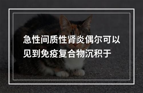 急性间质性肾炎偶尔可以见到免疫复合物沉积于