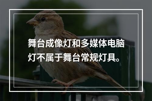 舞台成像灯和多媒体电脑灯不属于舞台常规灯具。