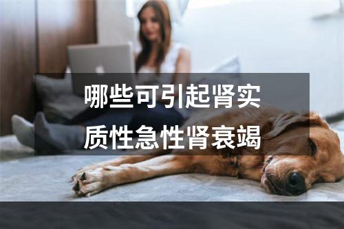 哪些可引起肾实质性急性肾衰竭