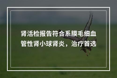 肾活检报告符合系膜毛细血管性肾小球肾炎，治疗首选