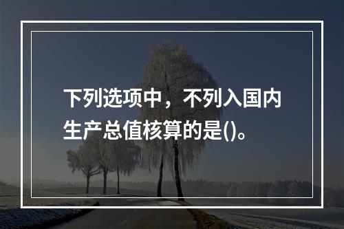 下列选项中，不列入国内生产总值核算的是()。