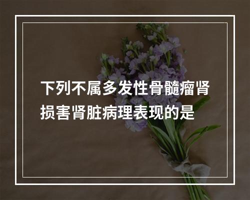 下列不属多发性骨髓瘤肾损害肾脏病理表现的是