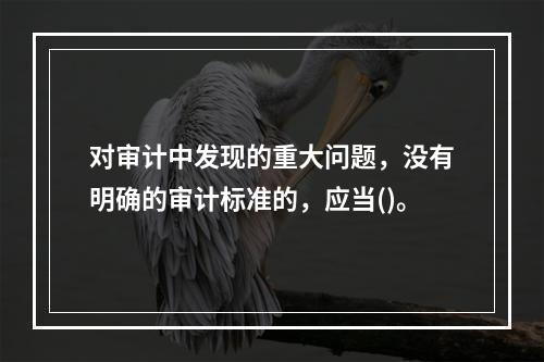 对审计中发现的重大问题，没有明确的审计标准的，应当()。