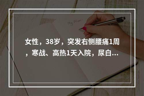 女性，38岁，突发右侧腰痛1周，寒战、高热1天入院，尿白细胞