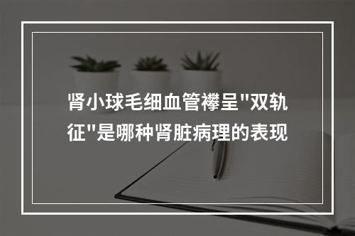 肾小球毛细血管襻呈