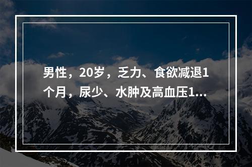 男性，20岁，乏力、食欲减退1个月，尿少、水肿及高血压1周，