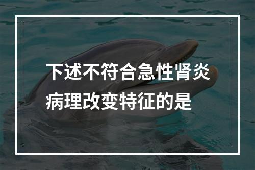 下述不符合急性肾炎病理改变特征的是