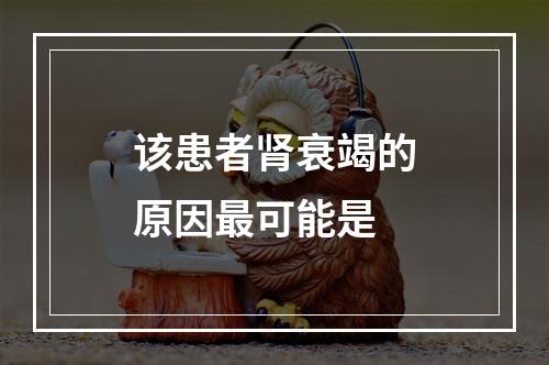 该患者肾衰竭的原因最可能是