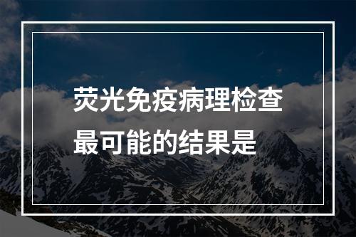 荧光免疫病理检查最可能的结果是