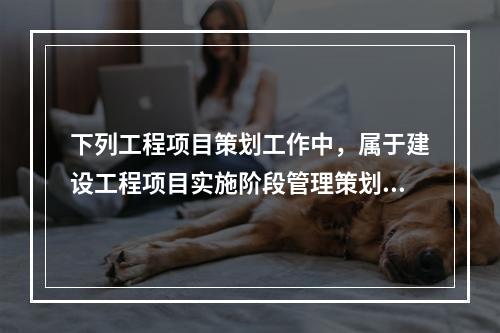 下列工程项目策划工作中，属于建设工程项目实施阶段管理策划的是