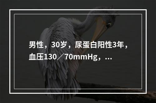 男性，30岁，尿蛋白阳性3年，血压130／70mmHg，尿蛋