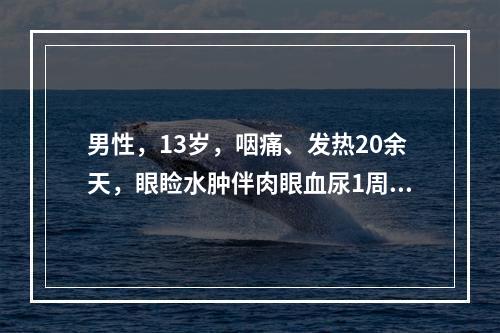 男性，13岁，咽痛、发热20余天，眼睑水肿伴肉眼血尿1周。入