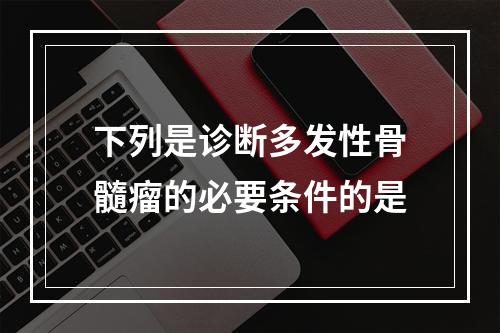 下列是诊断多发性骨髓瘤的必要条件的是