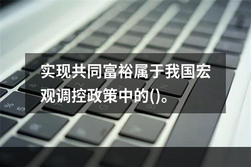 实现共同富裕属于我国宏观调控政策中的()。