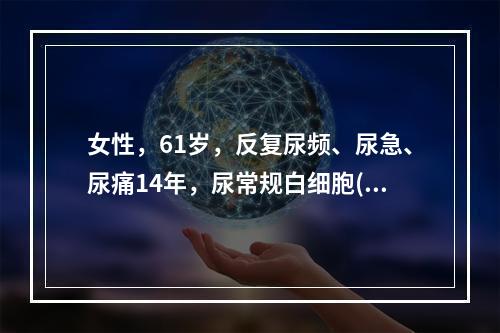 女性，61岁，反复尿频、尿急、尿痛14年，尿常规白细胞(++