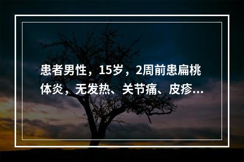 患者男性，15岁，2周前患扁桃体炎，无发热、关节痛、皮疹和腹