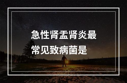 急性肾盂肾炎最常见致病菌是