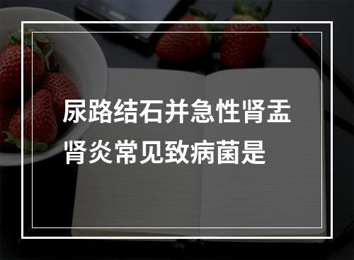 尿路结石并急性肾盂肾炎常见致病菌是