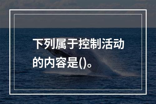 下列属于控制活动的内容是()。