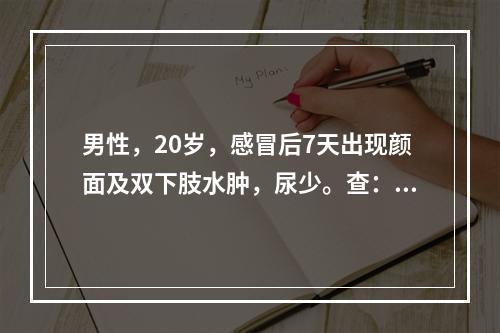 男性，20岁，感冒后7天出现颜面及双下肢水肿，尿少。查：血压