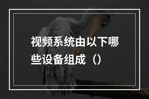 视频系统由以下哪些设备组成（）