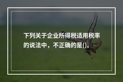 下列关于企业所得税适用税率的说法中，不正确的是()。