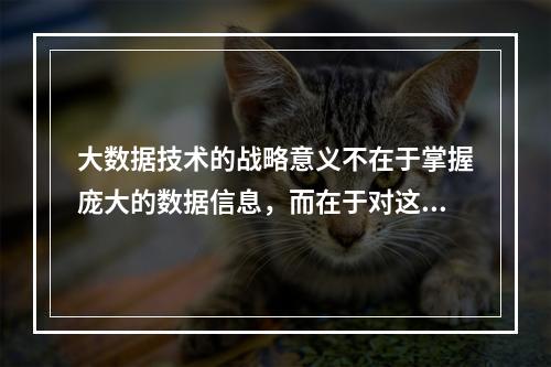 大数据技术的战略意义不在于掌握庞大的数据信息，而在于对这些含