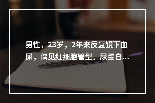 男性，23岁，2年来反复镜下血尿，偶见红细胞管型。尿蛋白定量