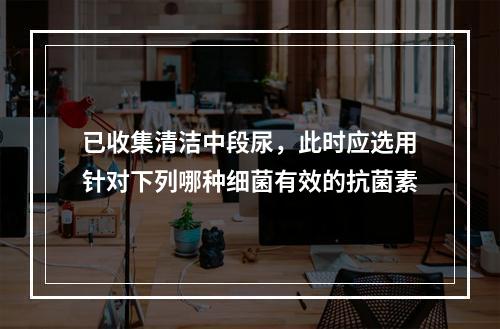 已收集清洁中段尿，此时应选用针对下列哪种细菌有效的抗菌素