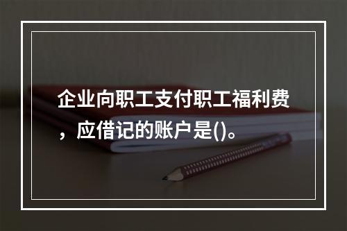 企业向职工支付职工福利费，应借记的账户是()。