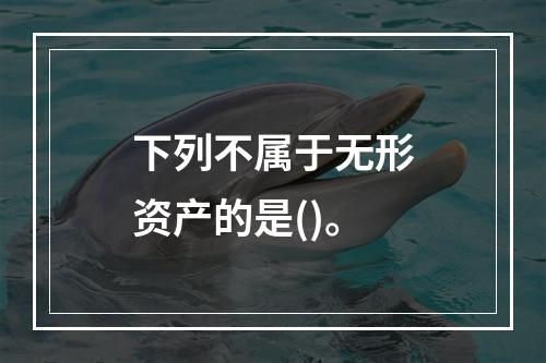 下列不属于无形资产的是()。