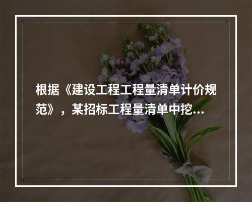 根据《建设工程工程量清单计价规范》，某招标工程量清单中挖沟槽