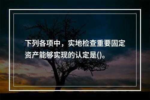 下列各项中，实地检查重要固定资产能够实现的认定是()。