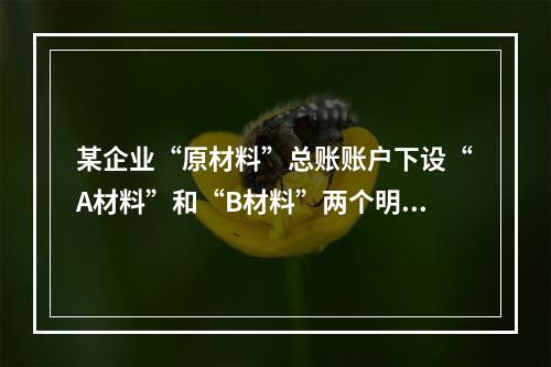 某企业“原材料”总账账户下设“A材料”和“B材料”两个明细账