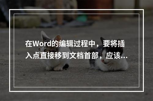 在Word的编辑过程中，要将插入点直接移到文档首部，应该按(