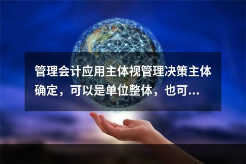 管理会计应用主体视管理决策主体确定，可以是单位整体，也可以是