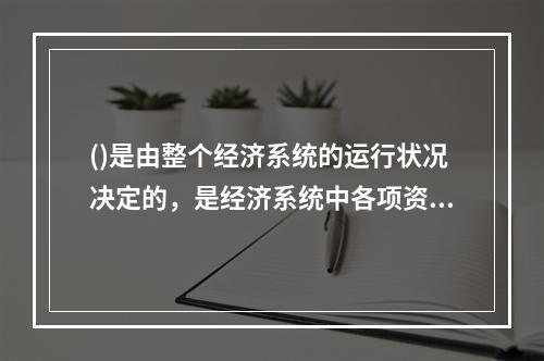 ()是由整个经济系统的运行状况决定的，是经济系统中各项资产相