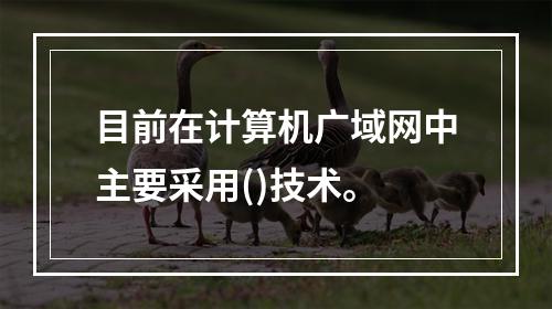 目前在计算机广域网中主要采用()技术。