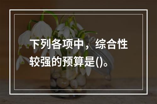 下列各项中，综合性较强的预算是()。