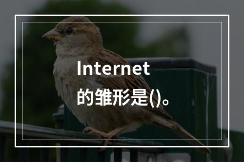 Internet的雏形是()。