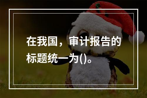 在我国，审计报告的标题统一为()。