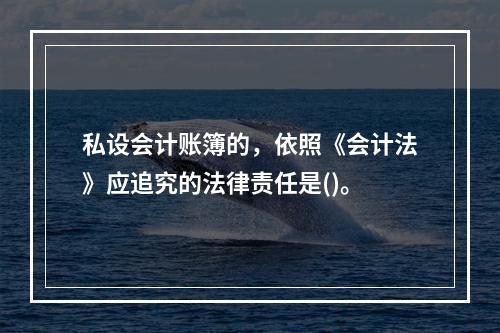 私设会计账簿的，依照《会计法》应追究的法律责任是()。