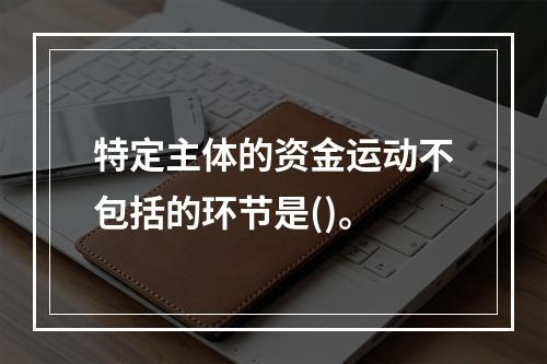 特定主体的资金运动不包括的环节是()。