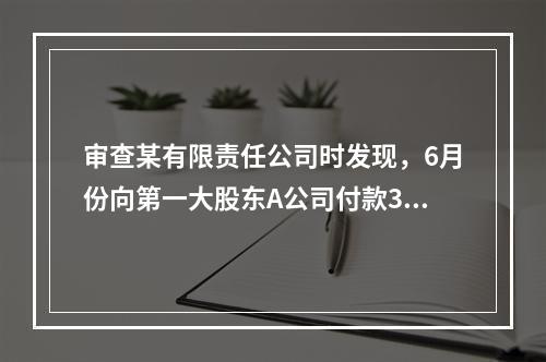 审查某有限责任公司时发现，6月份向第一大股东A公司付款300