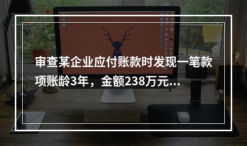 审查某企业应付账款时发现一笔款项账龄3年，金额238万元，询