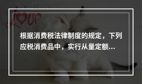 根据消费税法律制度的规定，下列应税消费品中，实行从量定额计征