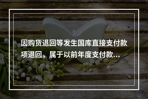 因购货退回等发生国库直接支付款项退回，属于以前年度支付款项的