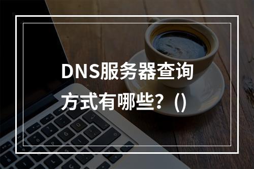 DNS服务器查询方式有哪些？()