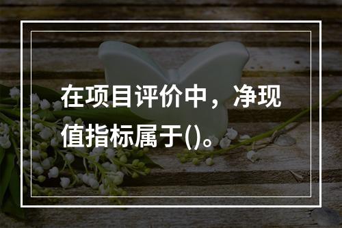 在项目评价中，净现值指标属于()。